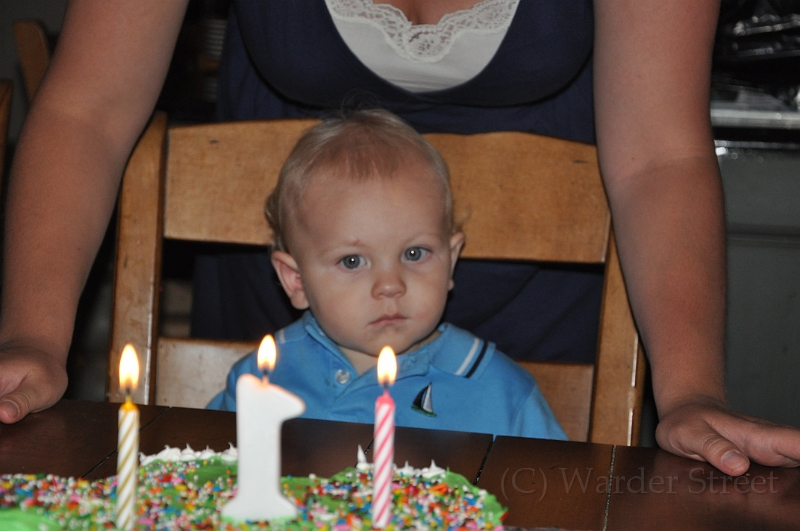 William's 2nd 1st Birthday Party 298.jpg